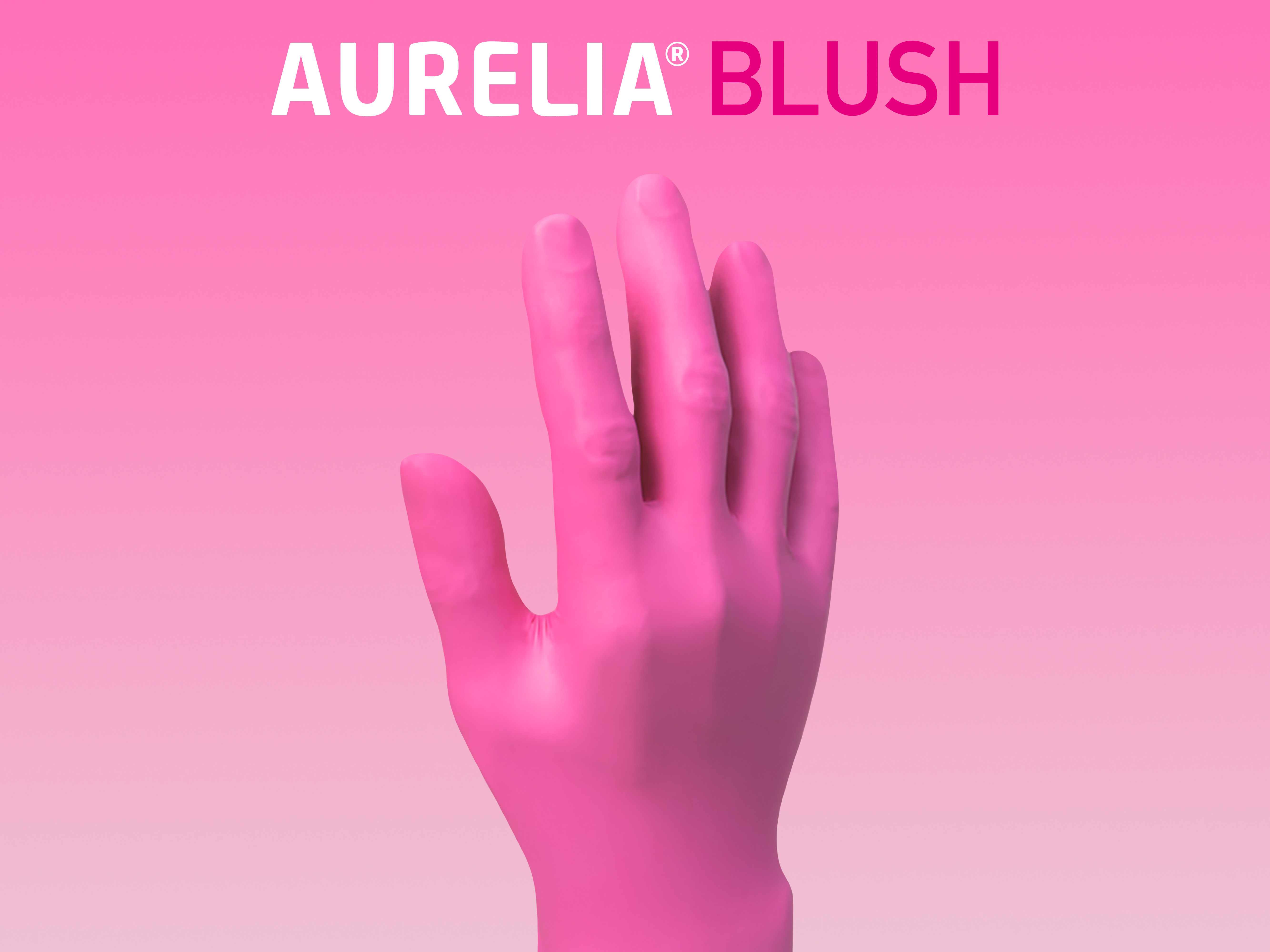 Aurelia punastua