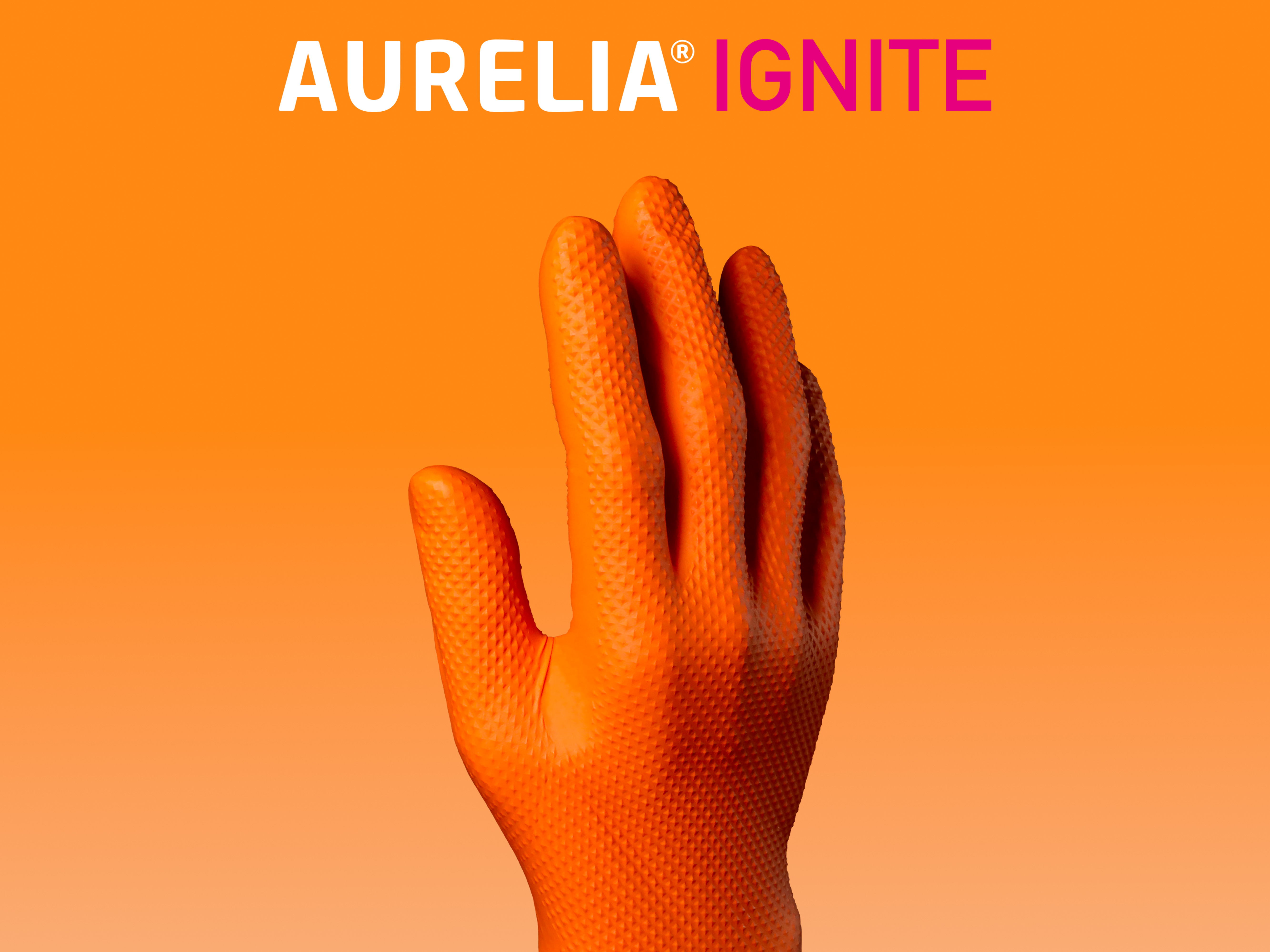 Aurelia Accendi