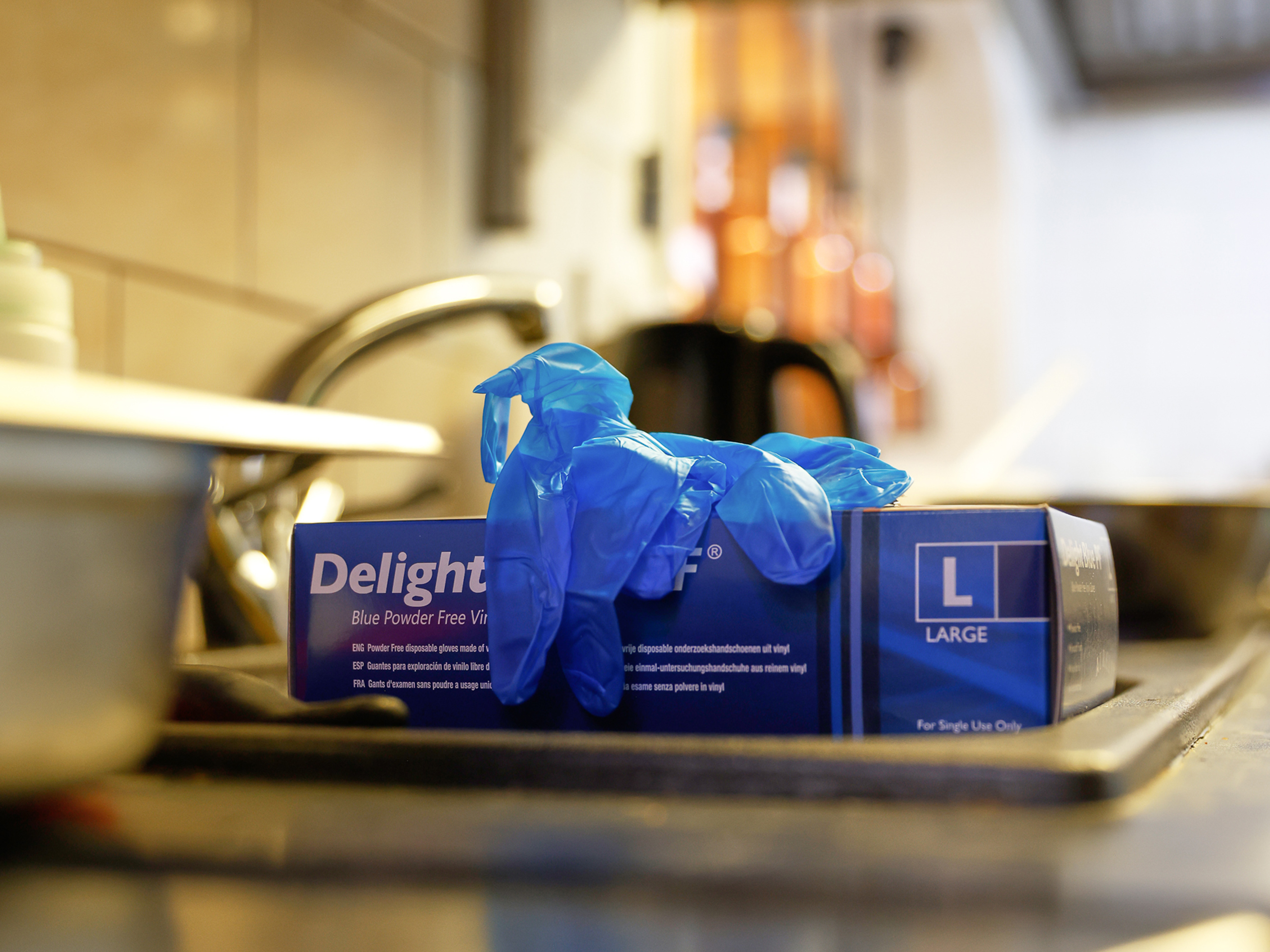 Aurelia Delight Blue Vinyl Gloves