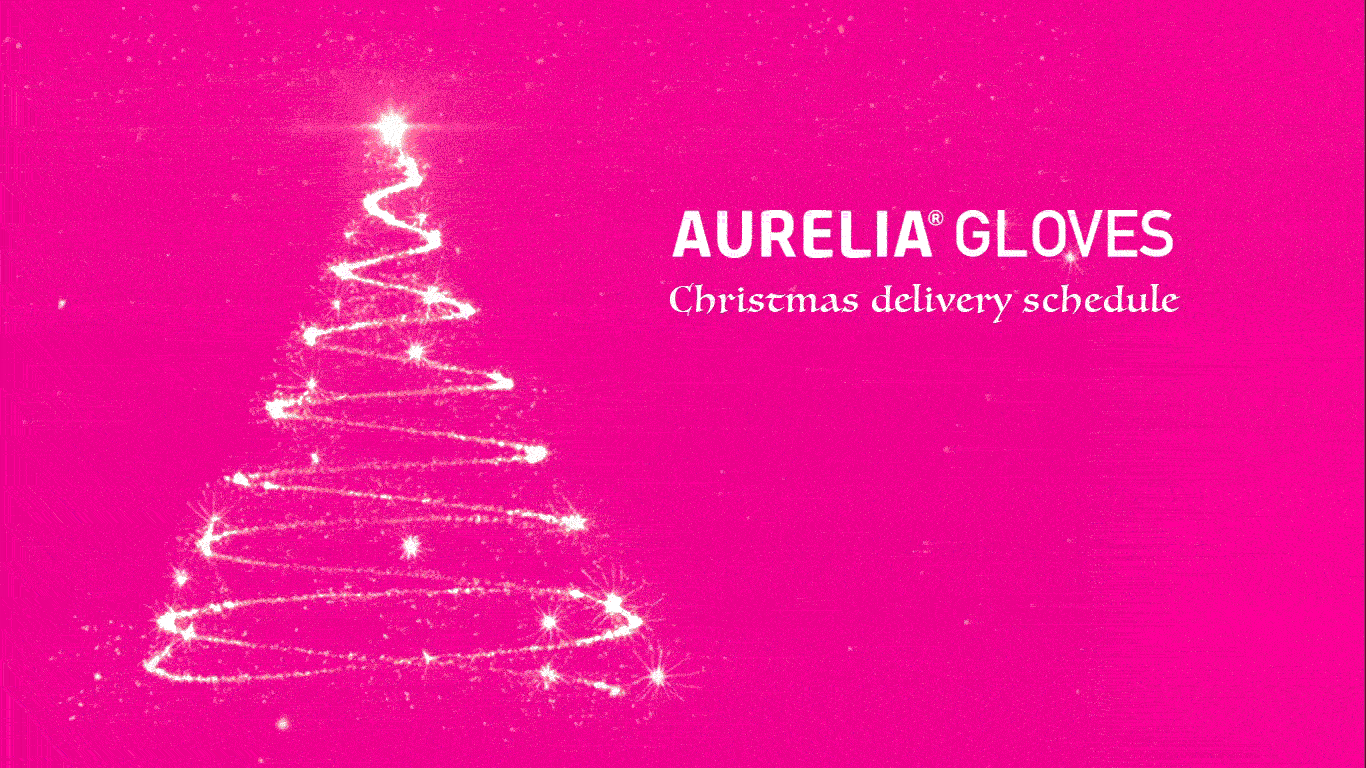 Christmas 2025 Delivery Schedule 